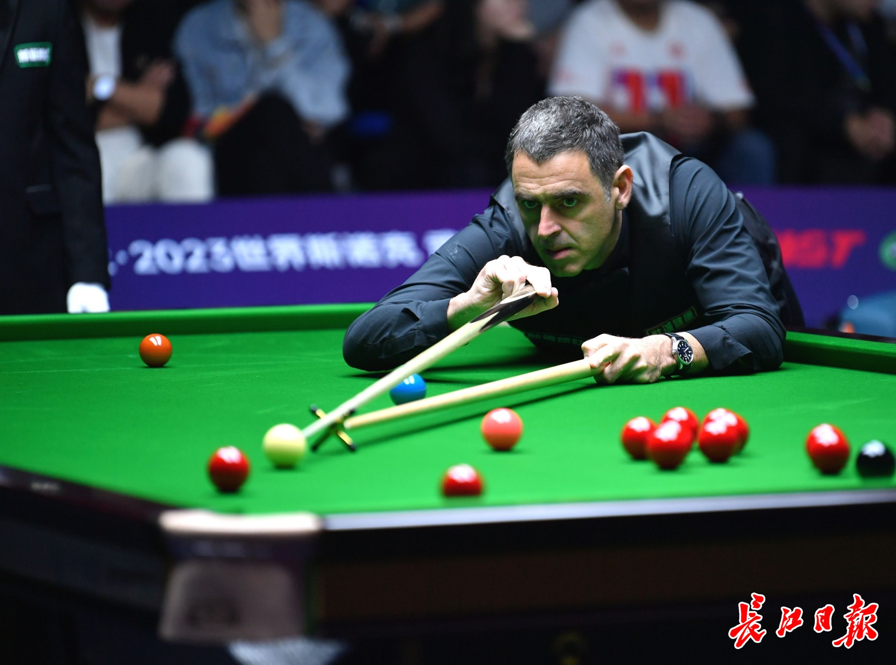 对冲不确定 对冲不确定