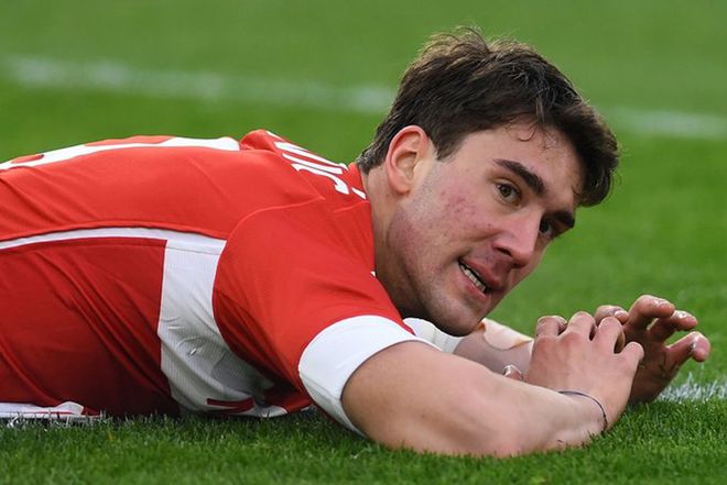 三角草的 三角草的