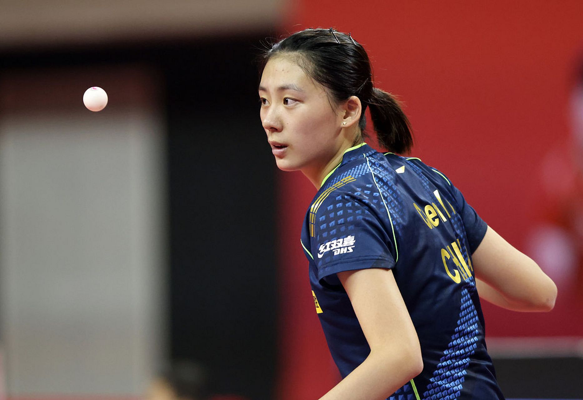 小龙前后自